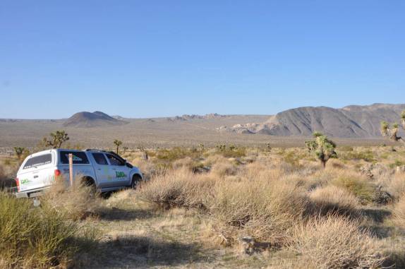 Fiona em pleno parque Joshua Tree National Park, região de Pioneertown, na Califórnia - Estados Unidos